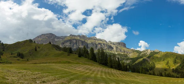 Weilanden in de Alpen, Zuid-Tirol, Italië — Stockfoto