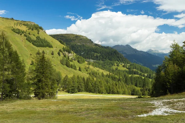 Almen in den Alpen, Südtirol, Italien — Stockfoto
