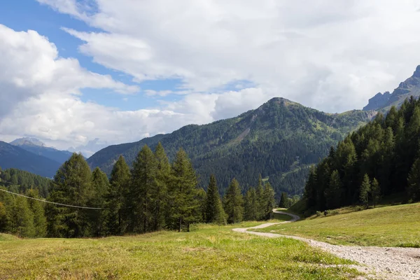 Legelők, Alpok, Dél-Tirol, Olaszország — Stock Fotó