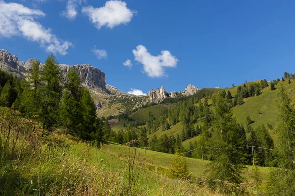 Almen Den Dolomiten Südtirol Italien — Stockfoto