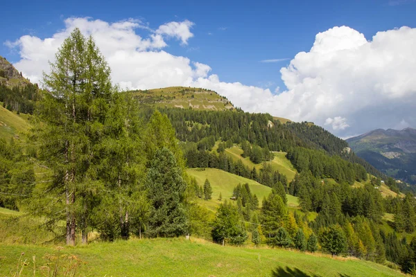 Пастбища в Альпах, Южный Тироль, Италия — стоковое фото