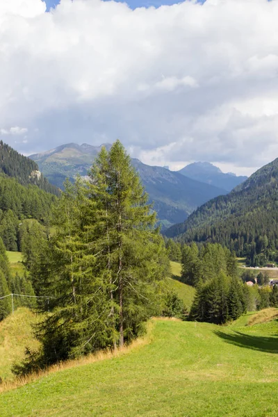 Pastviny v Alpách, Jižní Tyrolsko, Itálie — Stock fotografie