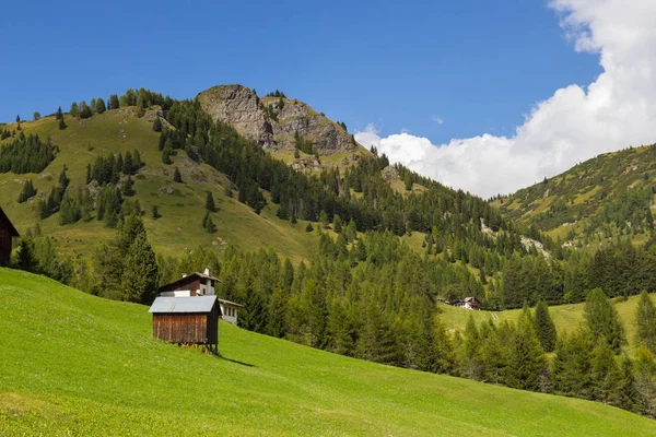 Pastos en Alpes, Tirol del Sur, Italia — Foto de Stock