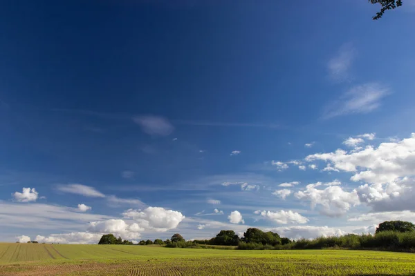 Campos e prados da Sjelland, Dinamarca — Fotografia de Stock