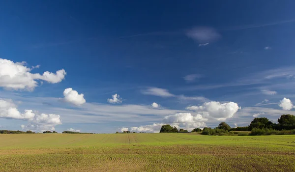 Campos e prados da Sjelland, Dinamarca — Fotografia de Stock