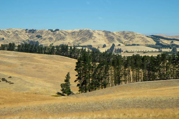 Highway Road Canterbury Region New Zealand — Stock Photo, Image