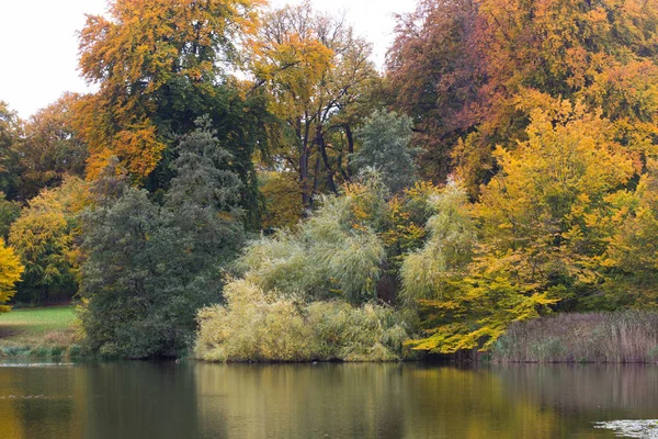 Herbst Blick Auf Einen Park — Stockfoto
