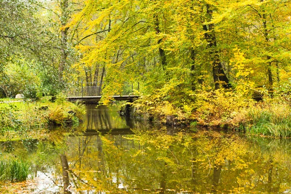 Осенний Вид Парк — стоковое фото