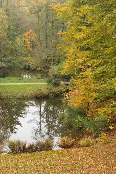 Herfst Uitzicht Een Park — Stockfoto