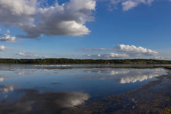 View Fjord Meadows Holbaek Denmark — Stock Photo, Image