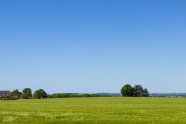 Taze bahar meadows kırsal alanlarda güzel görünümü