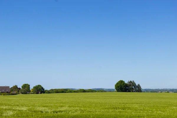 Vacker Utsikt Över Färsk Våren Ängar Landsbygden — Stockfoto