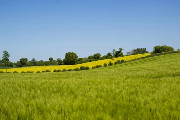 Bela Vista Prados Frescos Primavera Áreas Rurais — Fotografia de Stock