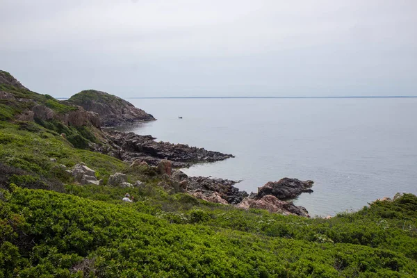 Vista Del Acantilado Kullaberg Cerca Ciudad Molle Suecia —  Fotos de Stock