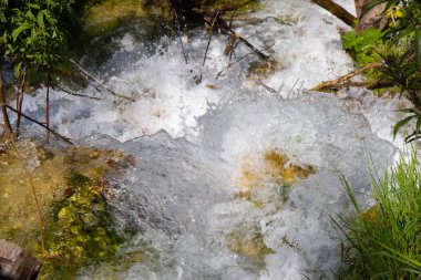 Şelaleler Plitvice Gölleri Milli Parkı