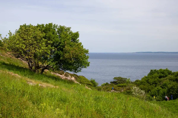 Vue de la falaise de Kullaberg en Suède — Photo