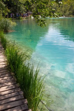wooden footpath through Plitvice lakes national park
