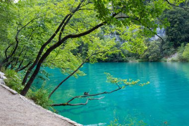 wooden footpath through Plitvice lakes national park