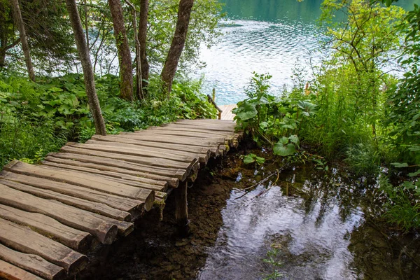 Деревянная пешеходная дорожка через национальный парк Плитвицкие озера — стоковое фото