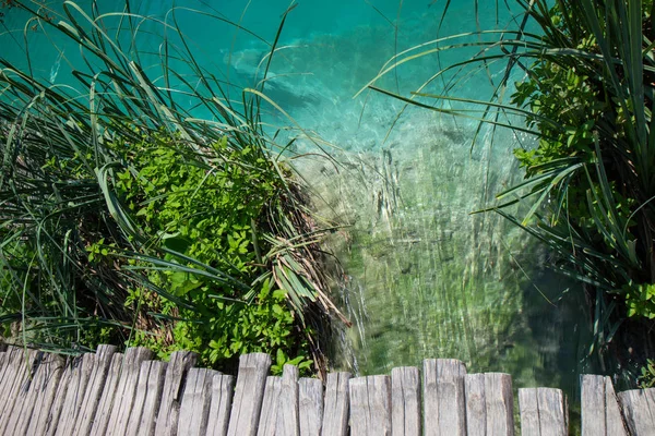 Trilha de madeira através do parque nacional dos lagos de Plitvice — Fotografia de Stock