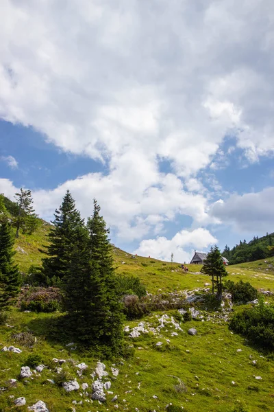 Uitzicht op Sloveense Alpen van Velika Planina — Stockfoto