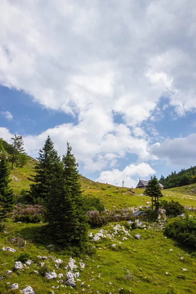 Pohled na Slovinské Alpy z Velika planiny — Stock fotografie