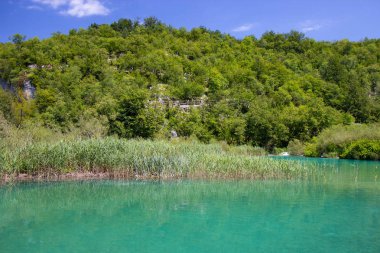  Plitvice Gölleri Milli Parkı Hırvatistan turkuaz suları