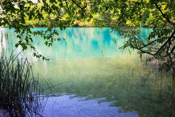 Aguas turquesas del Parque Nacional de los Lagos de Plitvice en Croacia —  Fotos de Stock