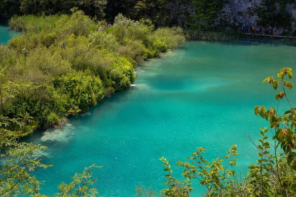 Türkizkék a Plitvicei tavak Nemzeti Park-Horvátország — Stock Fotó