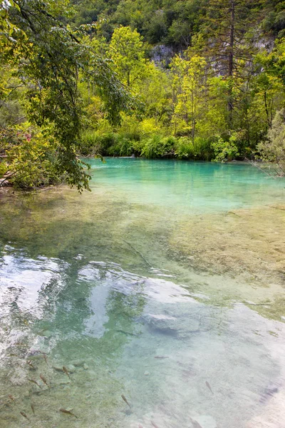 Turquoise waters of Plitvice Lakes National Park in Croatia — Stock Photo, Image