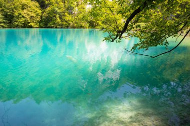  Plitvice Gölleri Milli Parkı Hırvatistan turkuaz suları