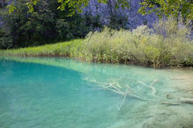  Plitvice Gölleri Milli Parkı Hırvatistan turkuaz suları