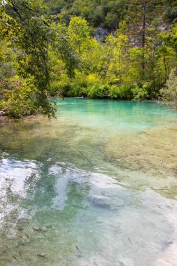 Plitvice Gölleri Milli Parkı Hırvatistan turkuaz suları