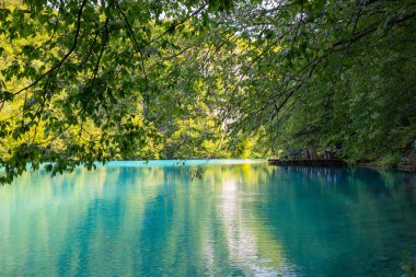  Plitvice Gölleri Milli Parkı Hırvatistan turkuaz suları