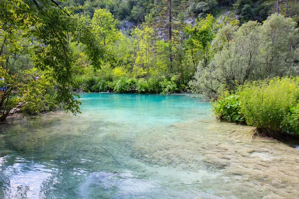  Plitvice Gölleri Milli Parkı Hırvatistan turkuaz suları