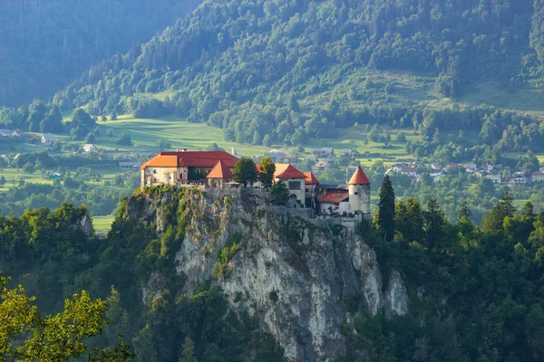 View of famous castle above the Bled Lake, Slovenia — Stock Photo, Image