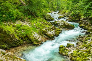 Vintgar Gorge - Slovenya, Julian Alps ünlü yürüyüş