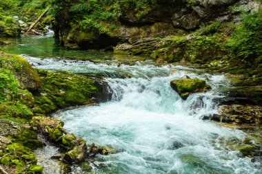 Vintgar Gorge - Slovenya, Julian Alps ünlü yürüyüş