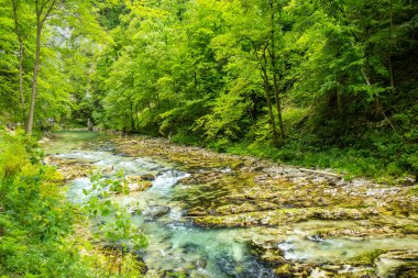 Vintgar Gorge - Slovenya, Julian Alps ünlü yürüyüş