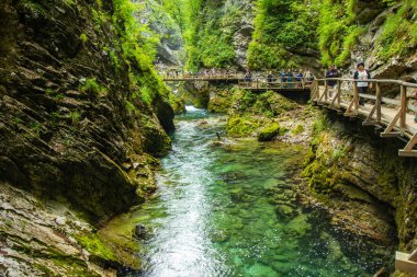 Vintgar Gorge - Slovenya, Julian Alps ünlü yürüyüş