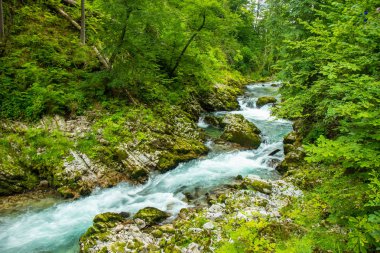 Vintgar Gorge - Slovenya, Julian Alps ünlü yürüyüş