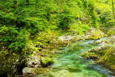 Vintgar Gorge - Slovenya, Julian Alps ünlü yürüyüş