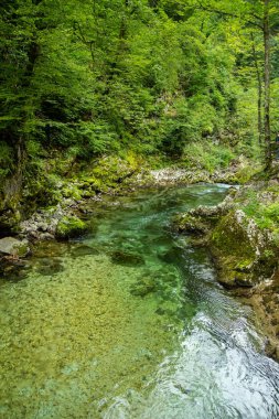Vintgar Gorge - Slovenya, Julian Alps ünlü yürüyüş