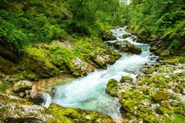 Vintgar Gorge - Slovenya, Julian Alps ünlü yürüyüş