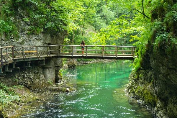 Vintgar Gorge - famous walk in Slovenia, Julian Alps — Stock Photo, Image