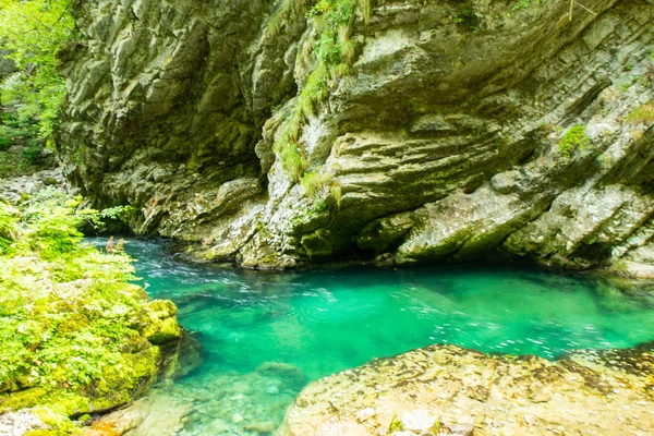 Vintgar Gorge - famous walk in Slovenia, Julian Alps — Stock Photo, Image