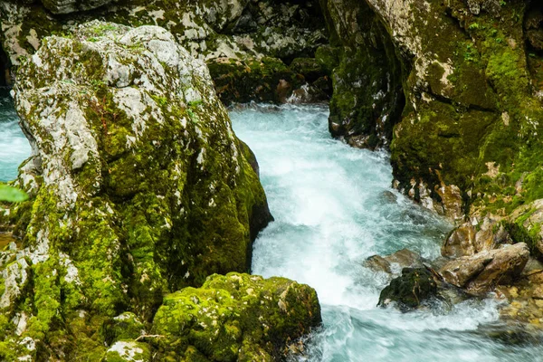 Vintgar Gorge - Slovenya, Julian Alps ünlü yürüyüş — Stok fotoğraf