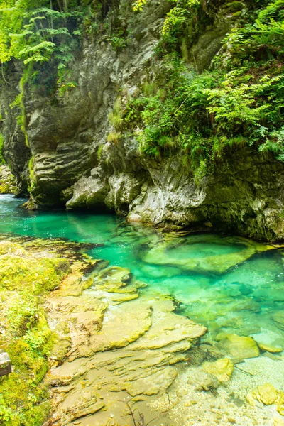 Vintgar Gorge-híres séta Szlovéniában, Júliai-Alpokban — Stock Fotó