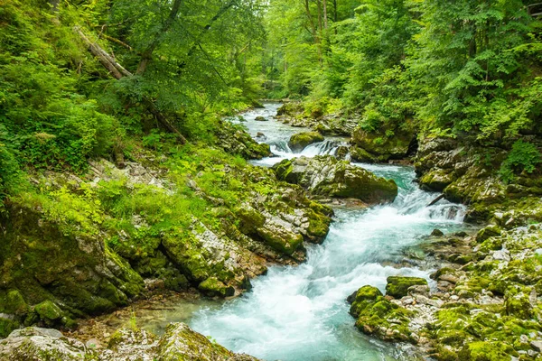 Vintgar Gorge - Slovenya, Julian Alps ünlü yürüyüş — Stok fotoğraf