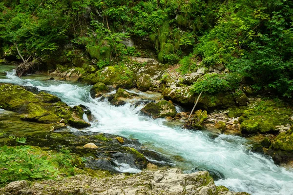 Vintgar Gorge-beroemde wandeling in Slovenië, Julische Alpen — Stockfoto